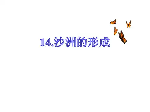 五年级下册科学课件-14沙洲的形成 ｜冀教版