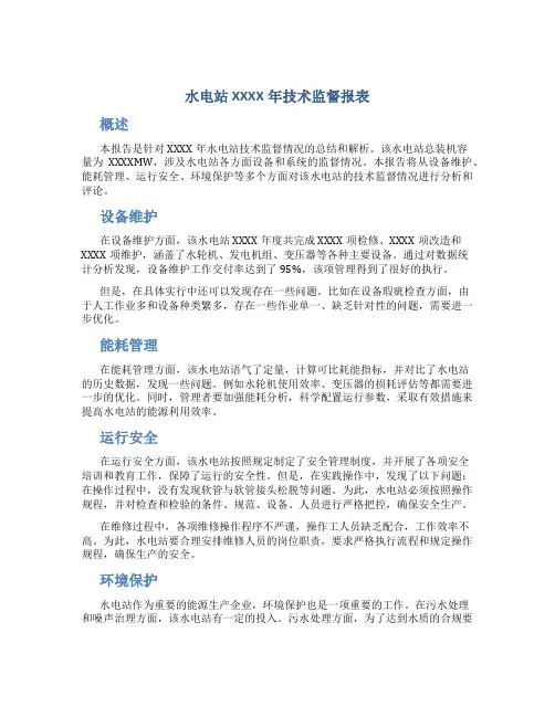 水电站XXXX年技术监督报表