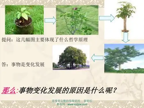 矛盾在事物发展中的作用
