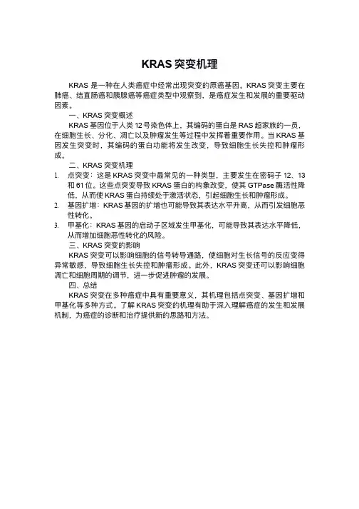 kras 突变机理