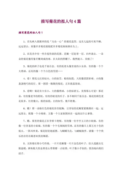描写菊花的拟人句4篇