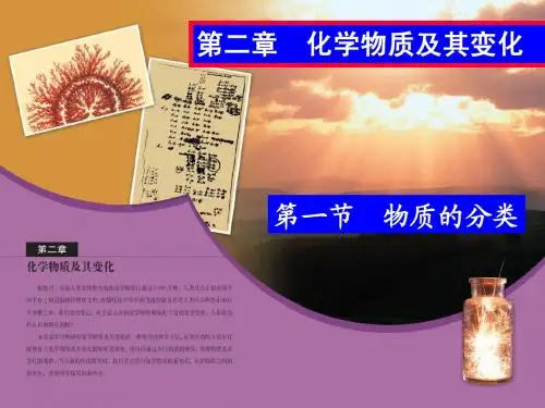 高一化学必修1 化学物质及其变化 第一节物质的分类ppt