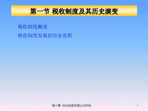 财政学第十章税收制度的理论与实践