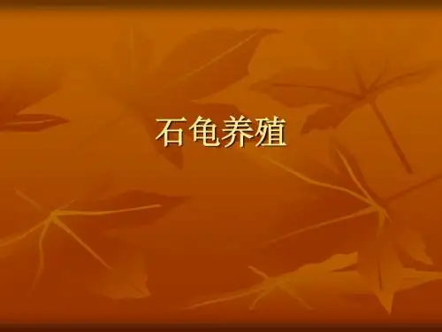 石龟养殖