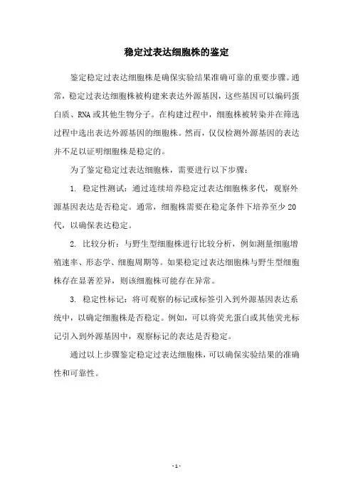 稳定过表达细胞株的鉴定
