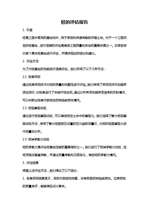 桩的评估报告