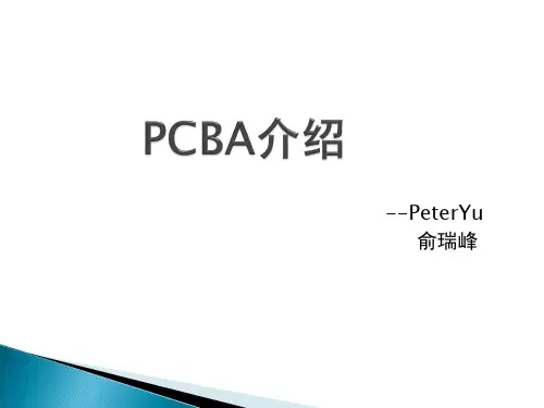 PCBA介绍-PeterYu