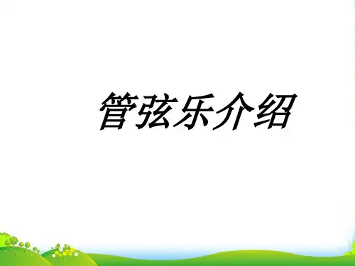 人音版五年级音乐管弦乐介绍-素材-课件