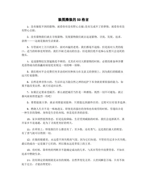 狼图腾狼的50格言
