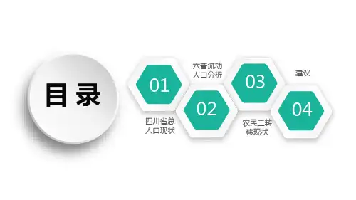 四川省人口现状分析ppt课件