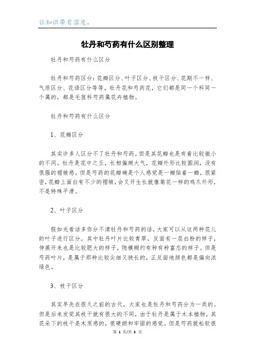 牡丹和芍药有什么区别整理