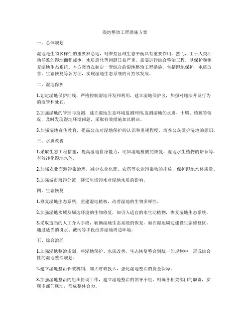 湿地整治工程措施方案