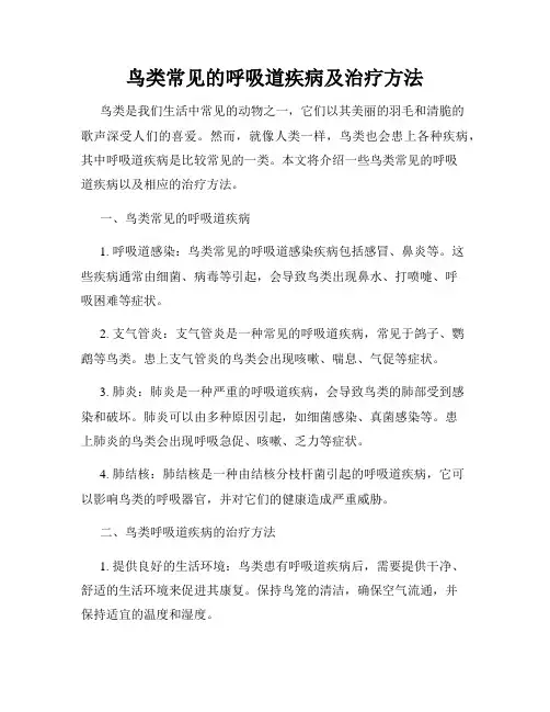 鸟类常见的呼吸道疾病及治疗方法