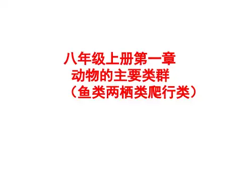 2020届中考生物一轮复习----人教版八年级生物上第一章动物的主要类群(鱼类、两栖类和爬行类) 复