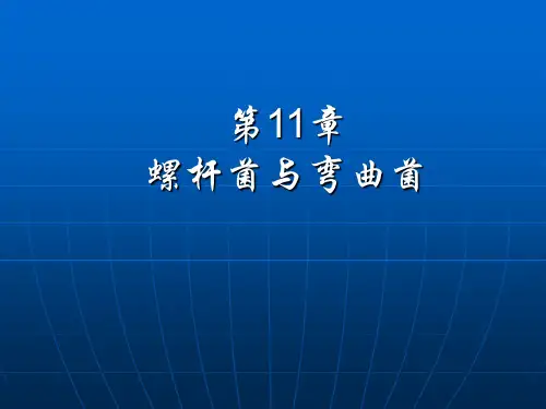 第11章 螺杆菌 和弯曲菌 ppt