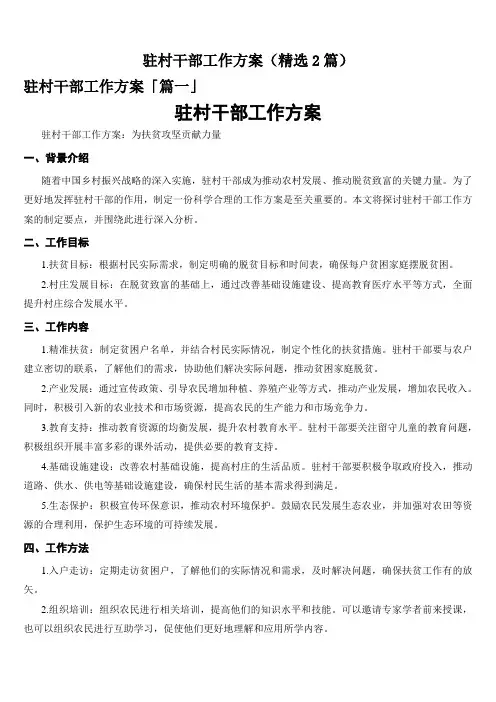 驻村干部工作方案(精选2篇)