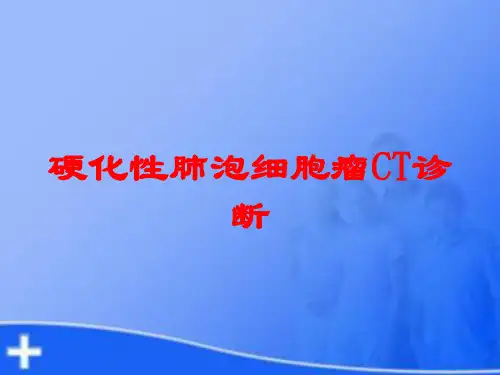 硬化性肺泡细胞瘤CT诊断培训课件