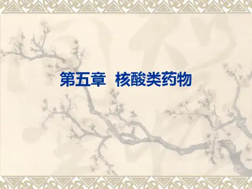 第5章 核酸类--脂类药物