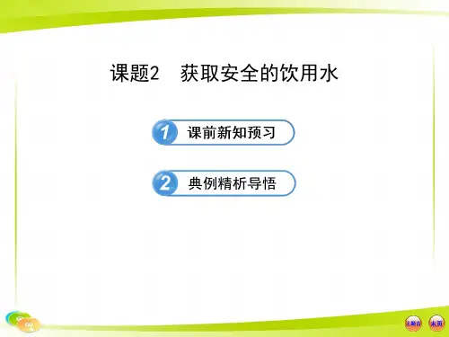 《获取安全的饮用水》课件5