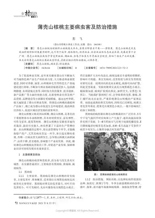 薄壳山核桃主要病虫害及防治措施