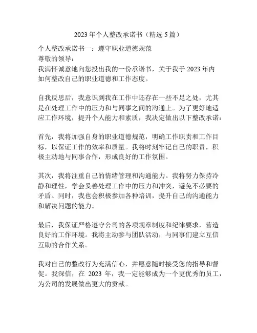 2023年个人整改承诺书(精选5篇)