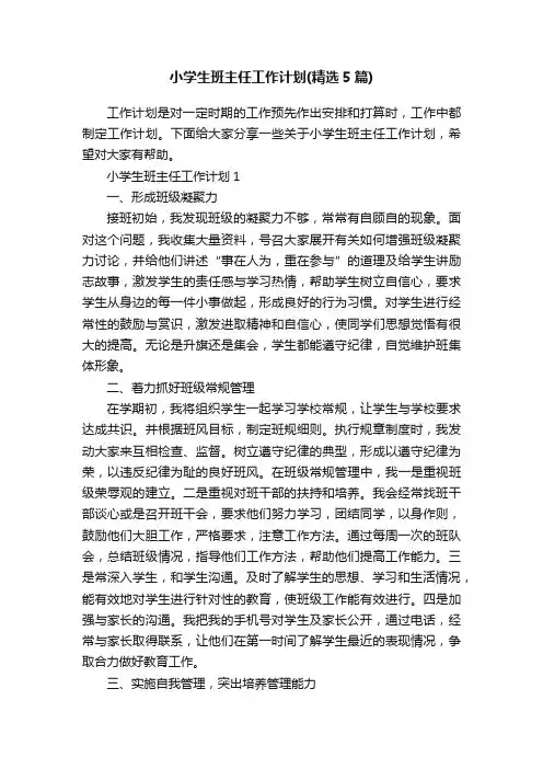 小学生班主任工作计划（精选5篇）