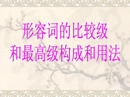 形容词比较级(精、全、实用)