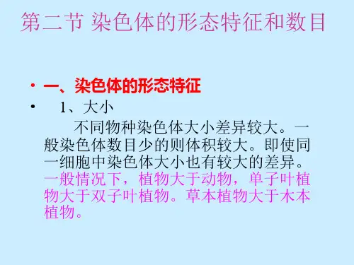 第二节 染色体的形态特征和数目