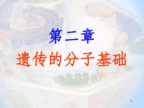 遗传的分子基础ppt课件