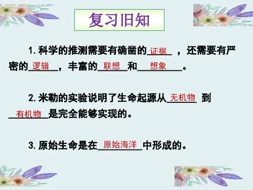 鲁科版(五四学制)生物八年级下册 8.3.2生物的进化历程 课件 