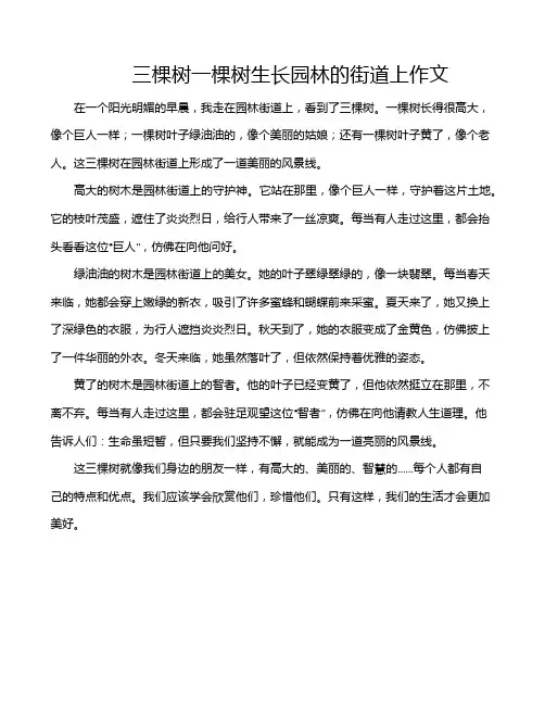 三棵树一棵树生长园林的街道上作文