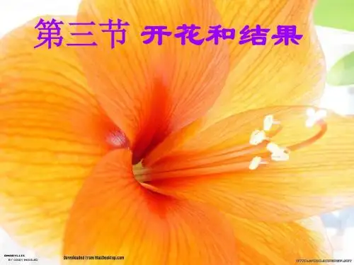 【初中生物】开花和结果PPT课件31