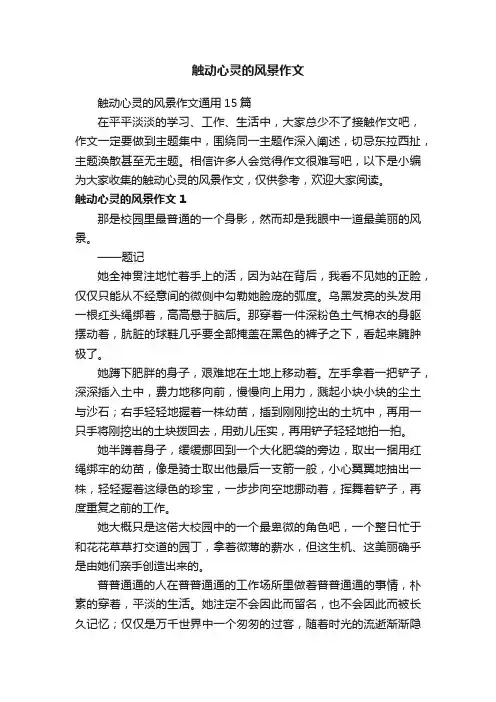 触动心灵的风景作文通用15篇