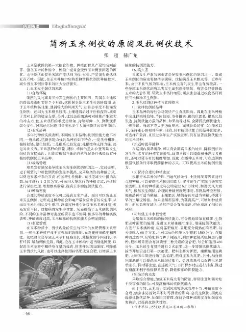 简析玉采倒伏的原因及抗倒伏技术
