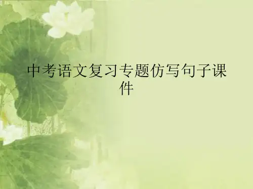 中考语文复习专题仿写句子