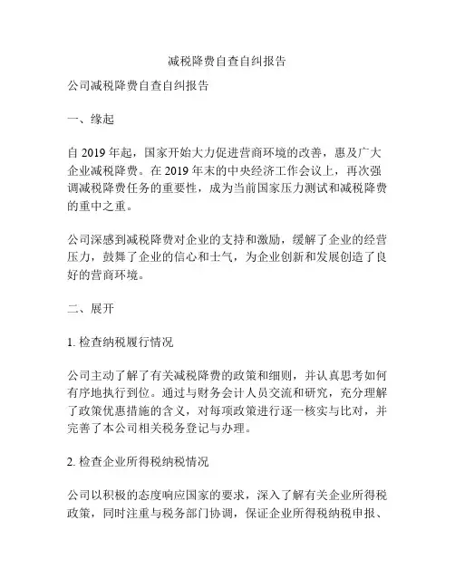 减税降费自查自纠报告