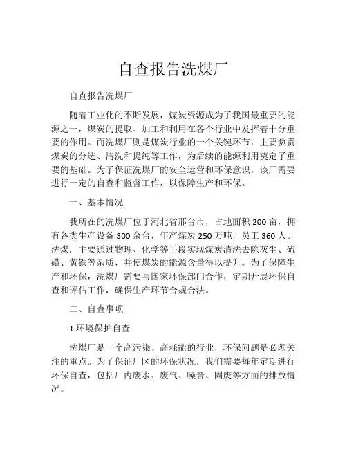自查报告洗煤厂