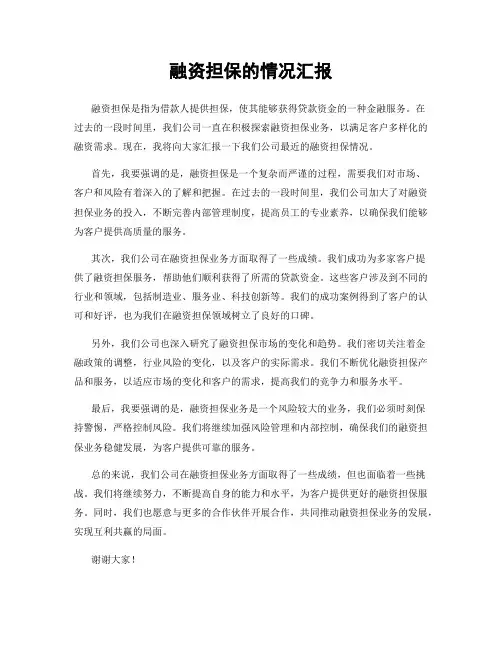 融资担保的情况汇报