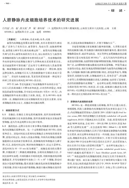 人脐静脉内皮细胞培养技术的研究进展