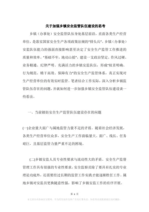 关于加强乡镇安全监管队伍建设的思考