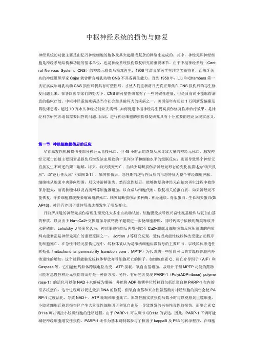 中枢神经系统的损伤与修复