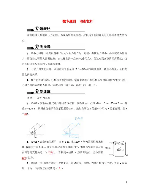 中考物理总复习 微专题四 动态杠杆试题