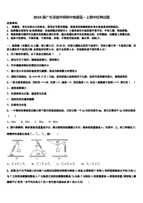2024届广东深圳华师附中物理高一上期中经典试题含解析