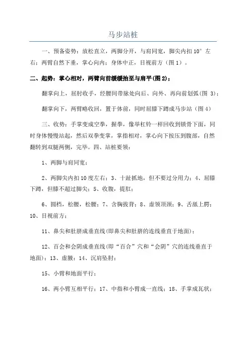 马步站桩_精品文档