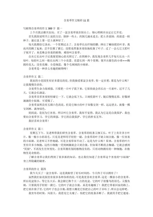 含羞草作文精彩11篇