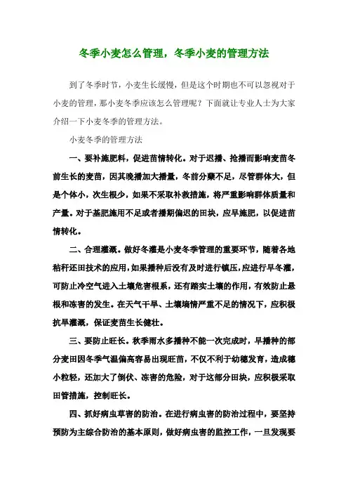 冬季小麦怎么管理,冬季小麦的管理方法