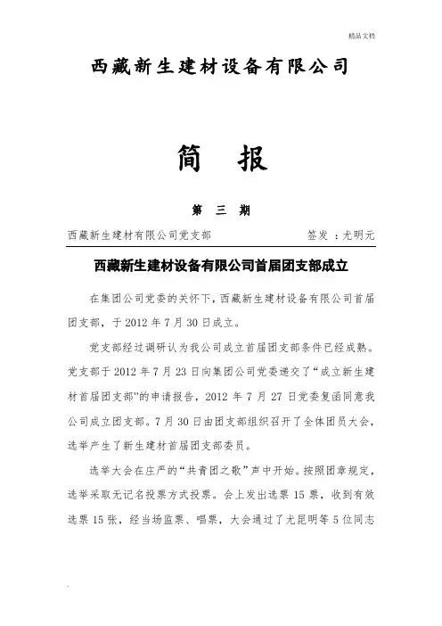 团支部成立简报