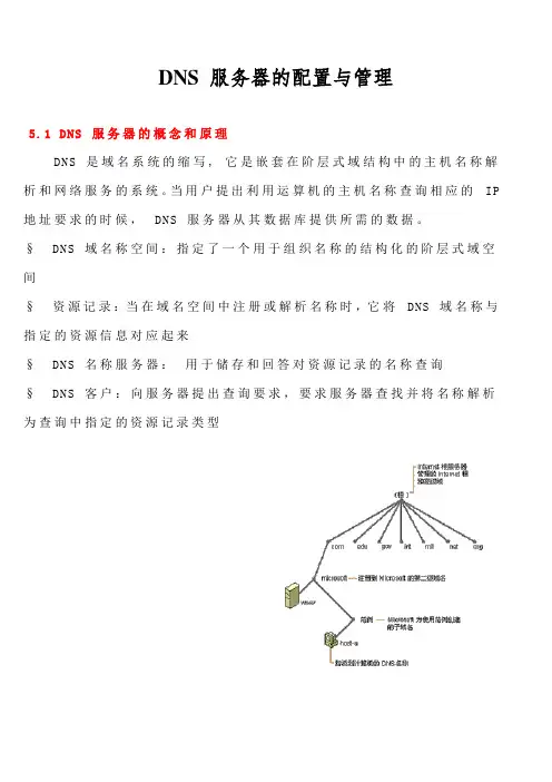 DNS 服务器的配置与管理