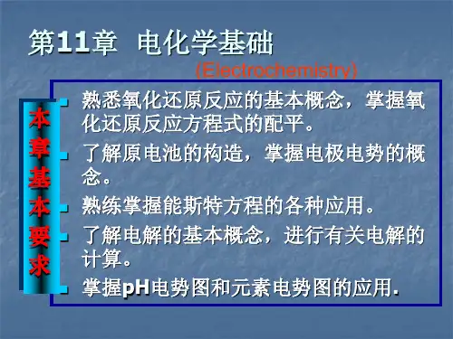第十一章电化学基础.ppt
