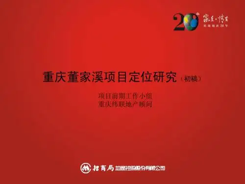 重庆华润中央公园前期定位报告